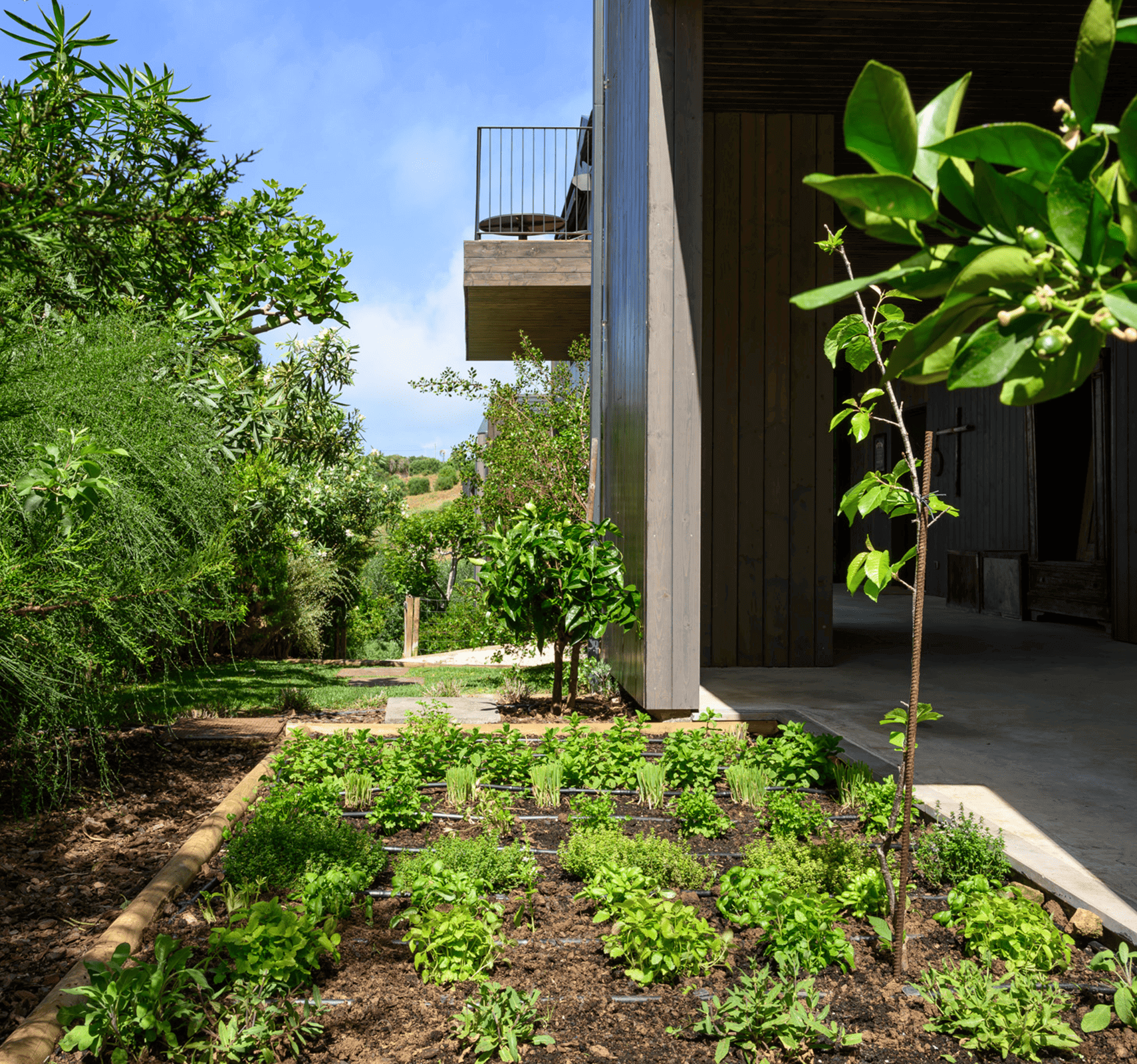 117-Herb-Garden