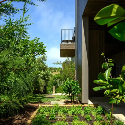 Herb Garden
